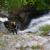Canyoning - Waterfalls of Orgon - 42