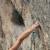Sport climbing - Climbing exploration - 3